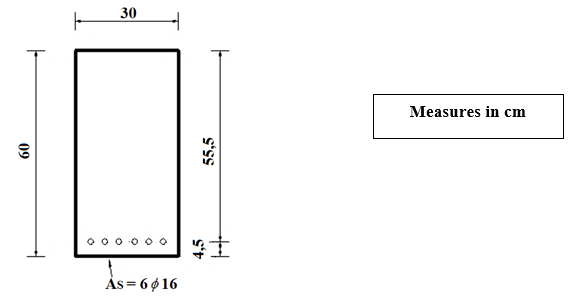 Cross section of reinforced concrete beam
under study