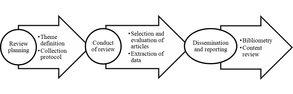 Process of applying the systematic review.