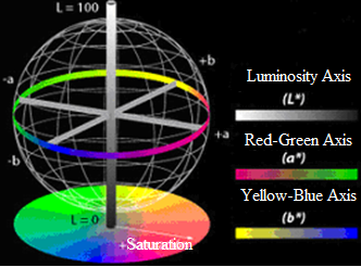 Diagram of the color spaces L*, a*, and b*.
The L* axis or luminosity axis ranges from 0 (black) to 100 (white), while the
a* and b* axes range from -128 to 127. Those cases in which a* = b* = 0 are
achromatic. Therefore, L* represents the gray achromatic scale ranging from
white to black, Stephen Westland ©.