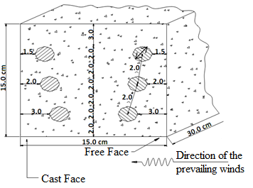 Schematic diagram of the rebar configuration in the concrete specimen