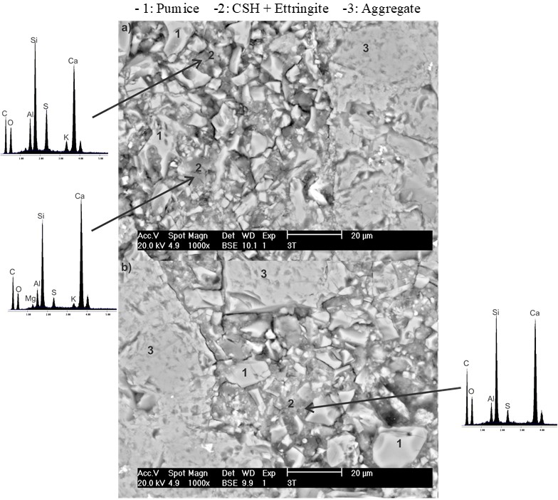 SEM images with backscattered electrons of the C-3 concrete (5%An-10%PC-10%CaO-75%PM) for the T60 regime exposed to dry conditions at
25 °C for 28 days.